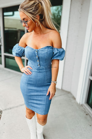 Stop and Stare Puff Sleeve Mini Dress